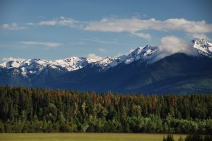 Valemount-BC-Kanada (4)