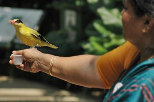 Jurong bird park – Singapore