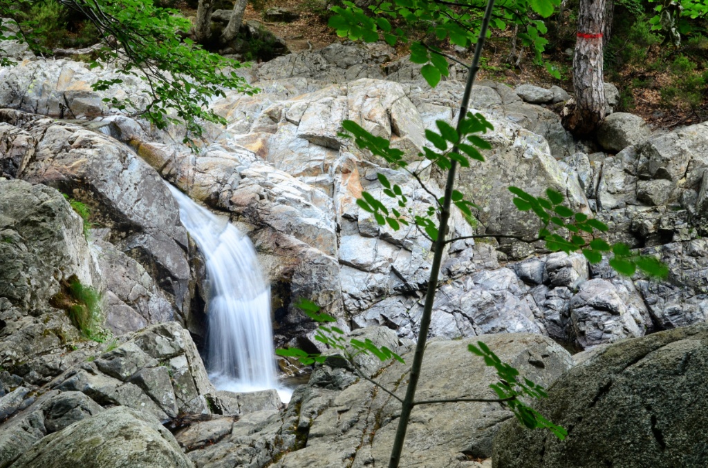 Corsica-France