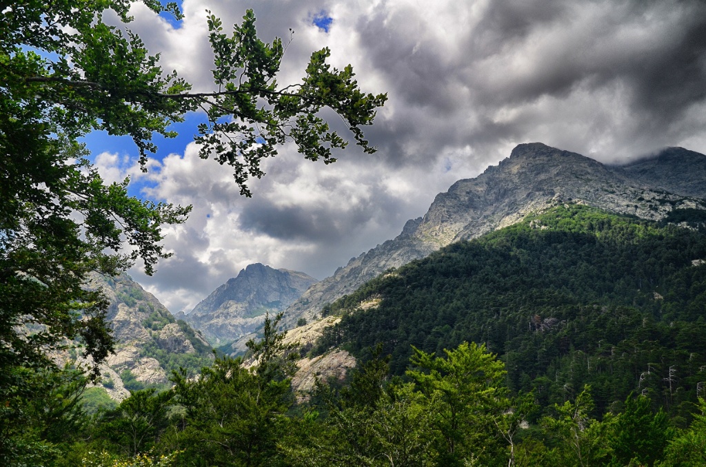 Corsica-France
