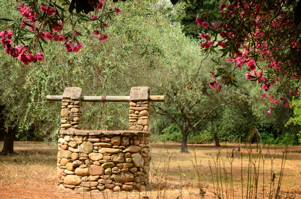 Corsica-France