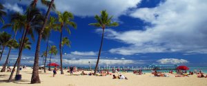 waikiki