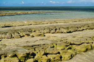 Stora Barriärrevet – Queensland – Australien