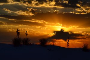 New Mexico – USA