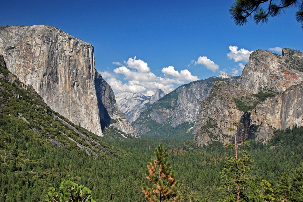 Köra bil i USA till Yosemite