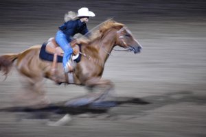 Rodeo-Cody