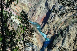 Yellowstone-Wyoming-11