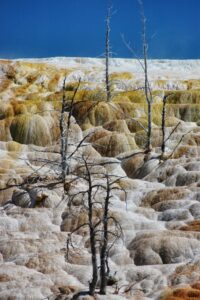 Yellowstone-Wyoming-5