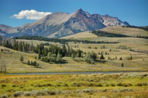 Yellowstone-Wyoming-7