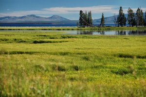 Yellowstone-Wyoming-9