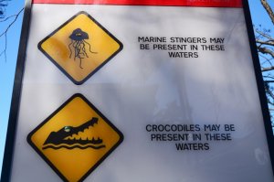 Palm Cove varningar