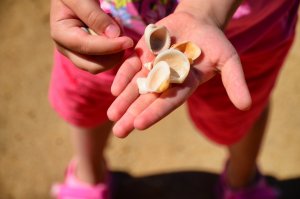 Snackor-stranden-Palm-Cove