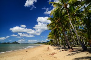 Stranden-Palm-Cove