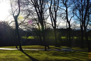 Dublin-16