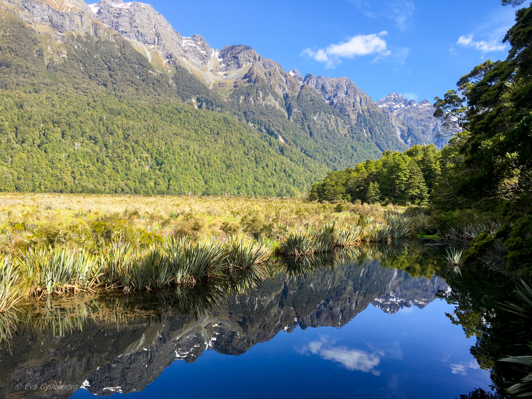 Mirror lake