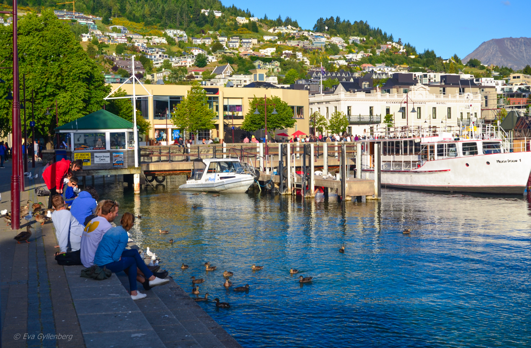 Queenstown - New Zealand