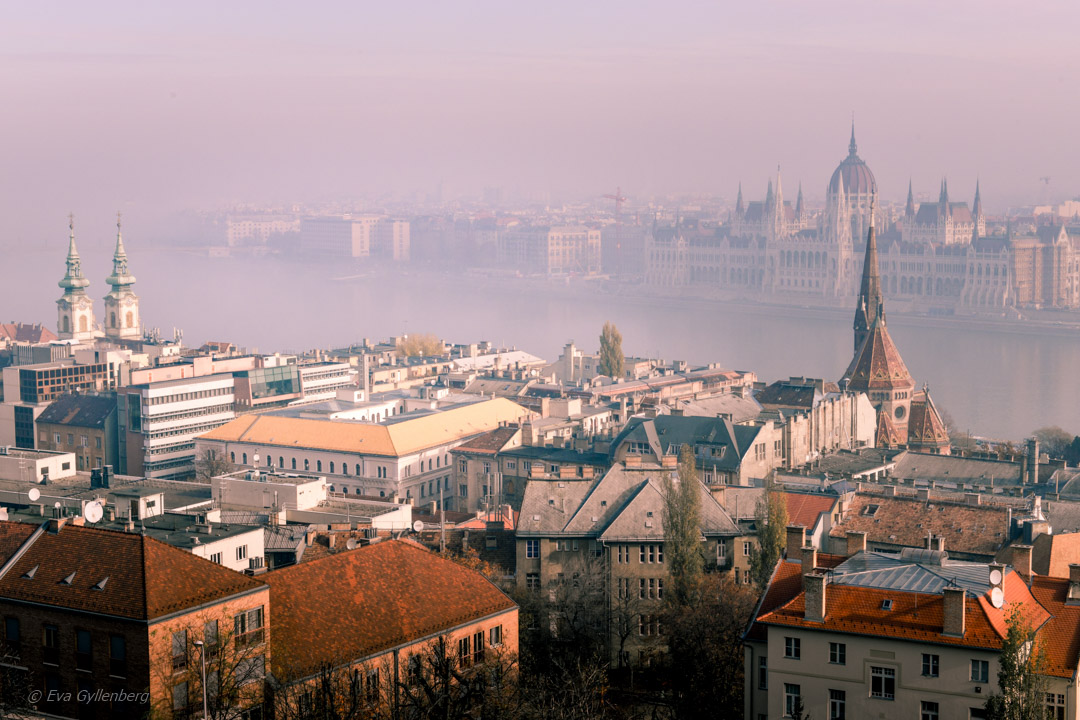 View from the castle height