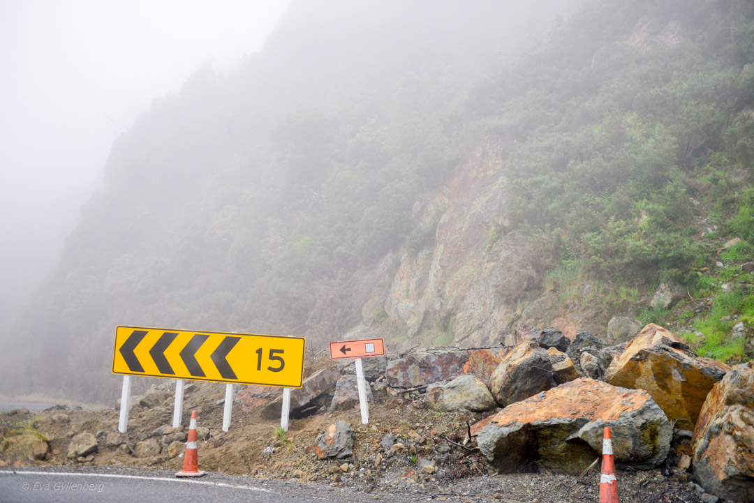 Fox Glacier
