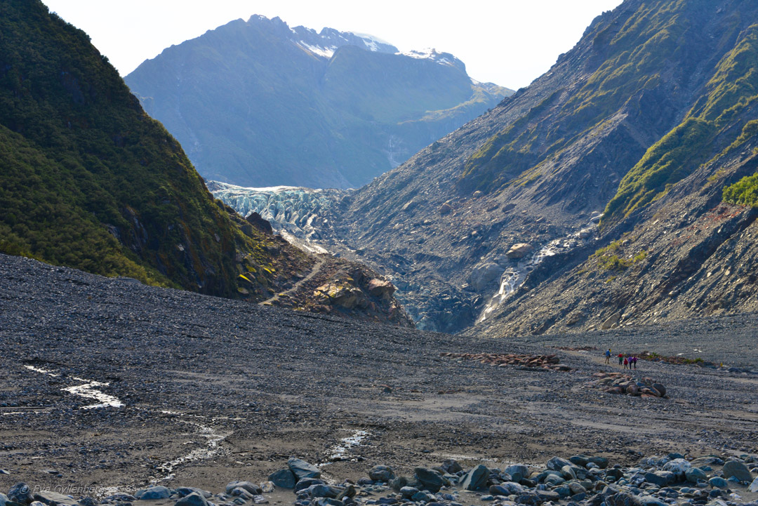 Fox Glacier