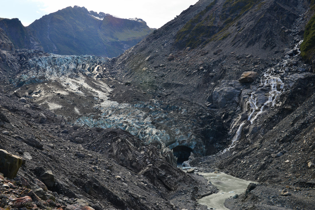 Fox Glacier