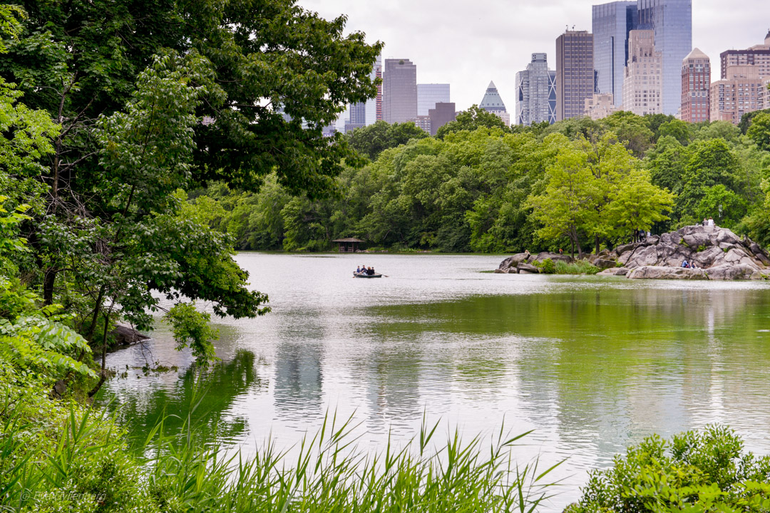 Central Park - New York