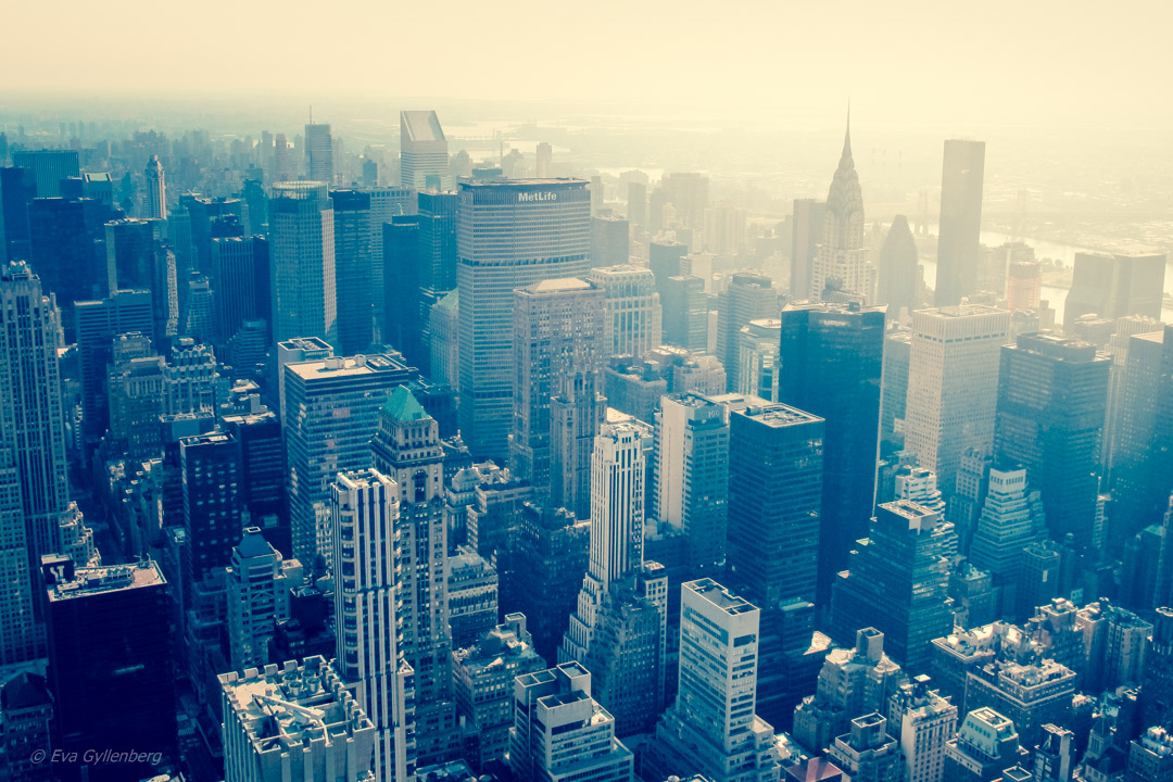 View from the Empire State Building - New York