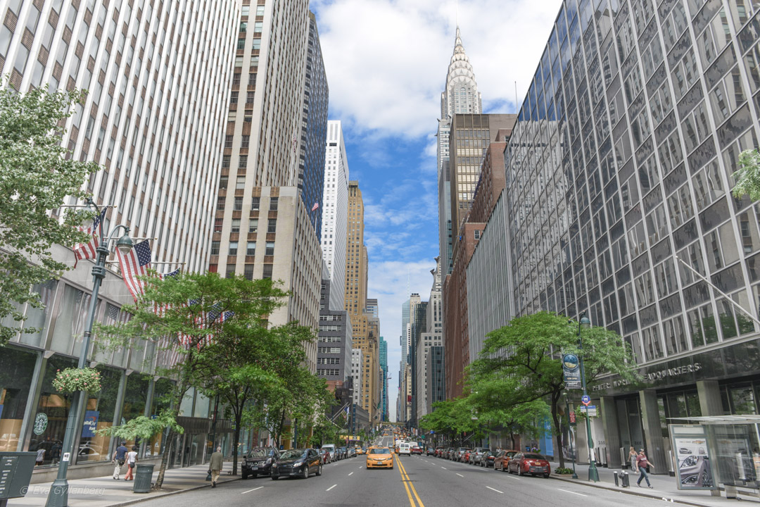 Street - New York