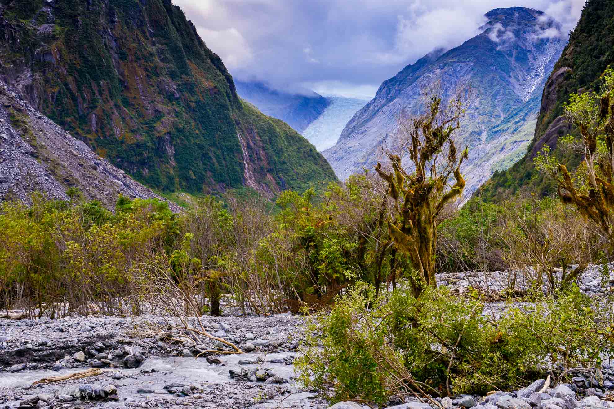 New Zealand