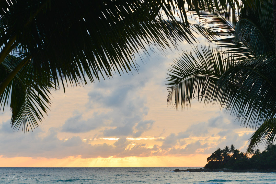 Pansea Beach - Phuket - Thailand