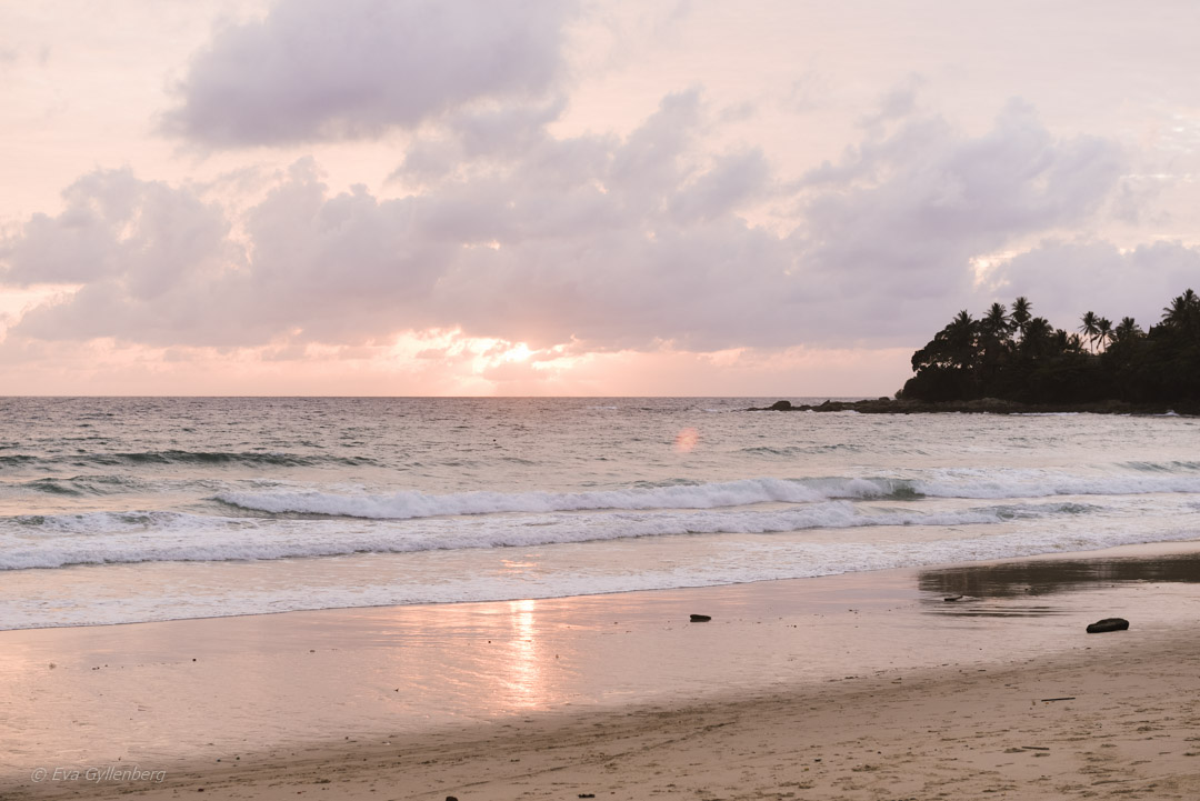Pansea Beach - Phuket - Thailand