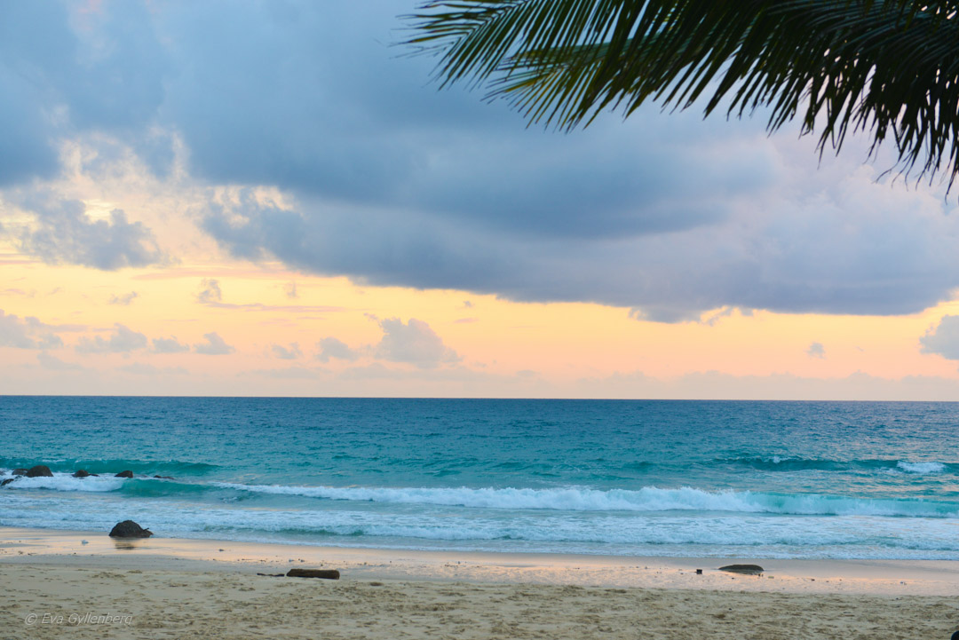 Pansea Beach - Phuket - Thailand