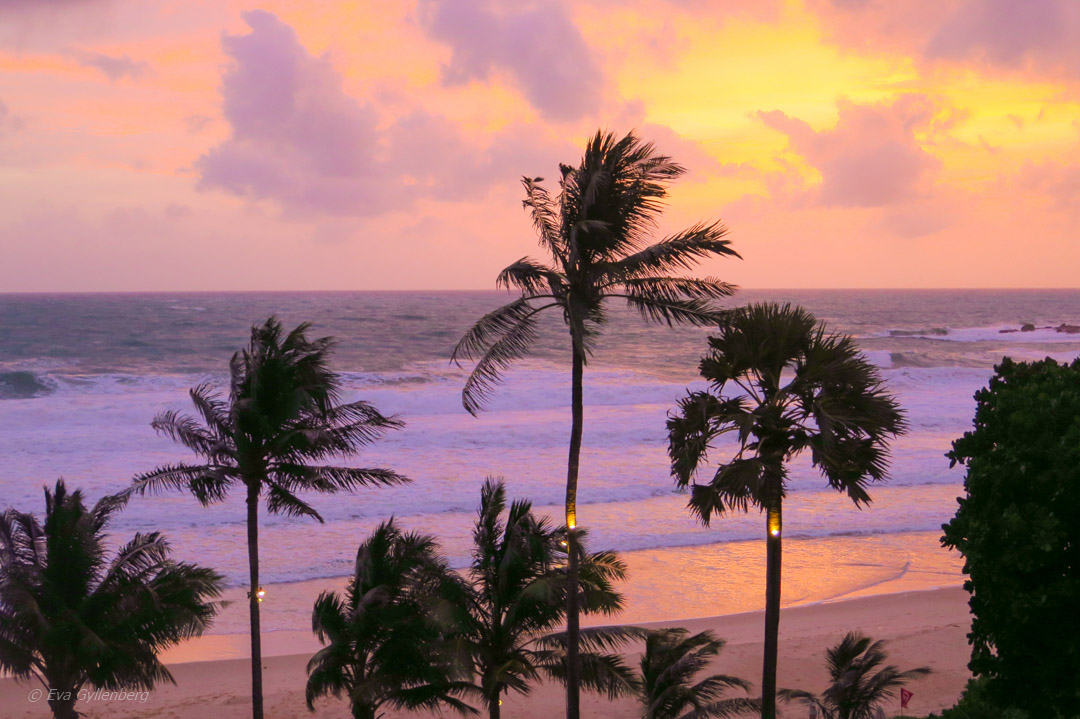 Pansea Beach - Phuket - Thailand