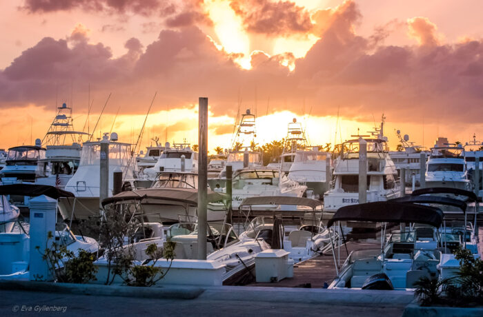 Florida-USA