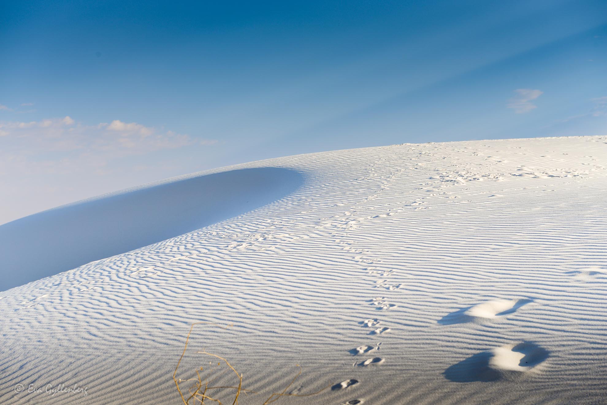 White Sands