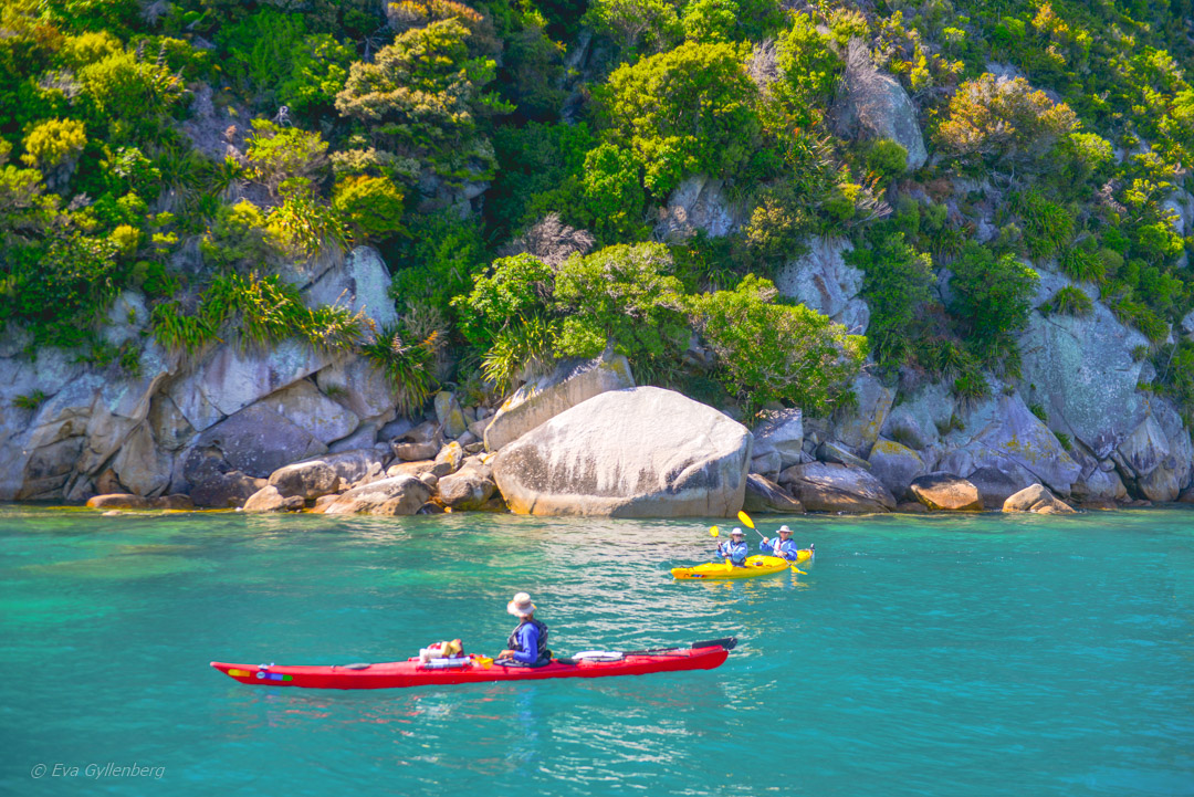 Abel Tasman National Park