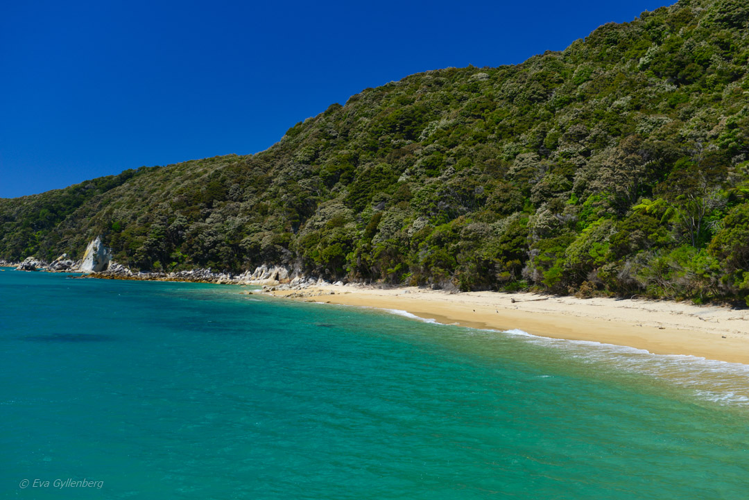 Abel Tasman National Park