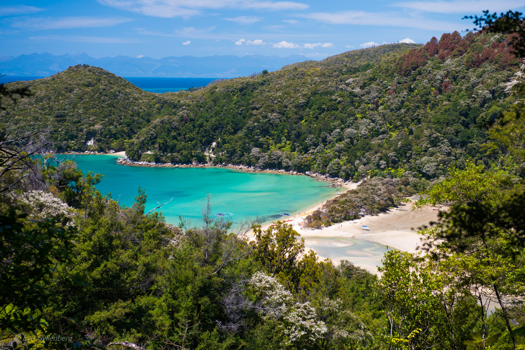 Abel Tasman National Park