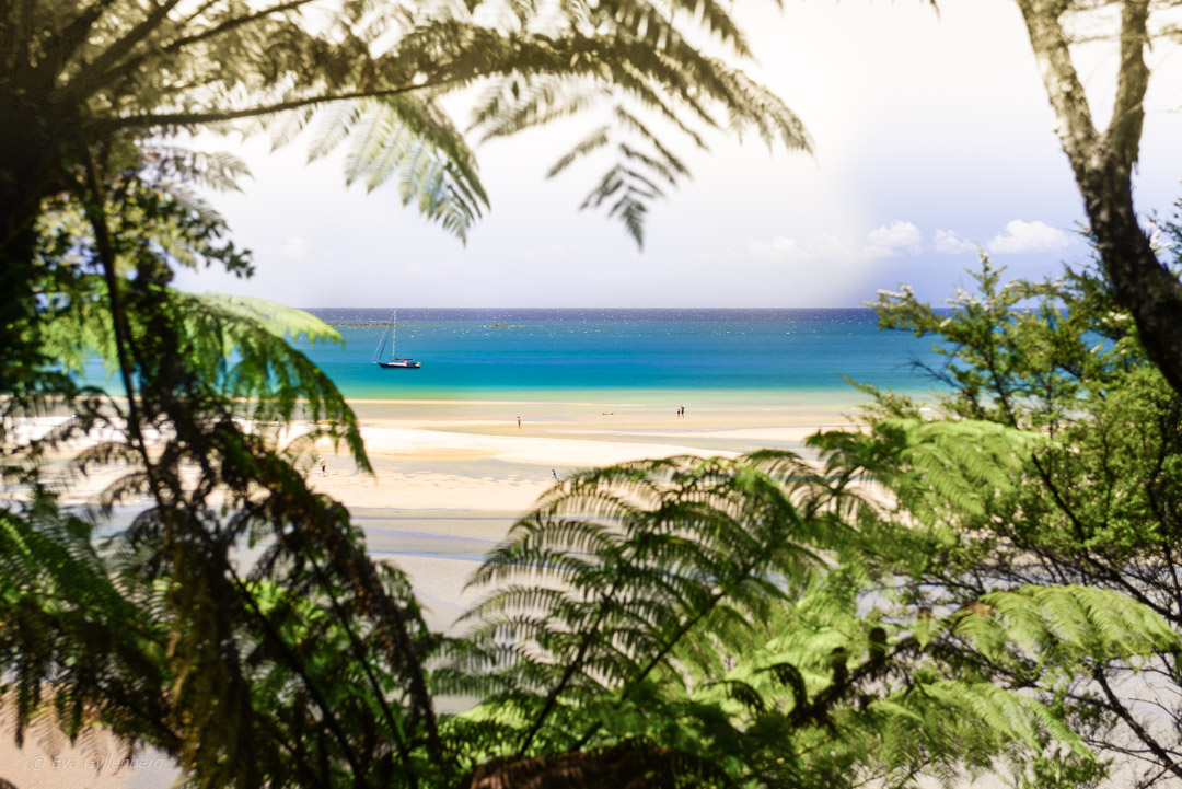 Abel Tasman National Park