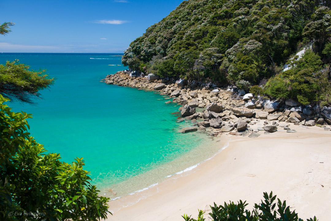 Abel Tasman National Park