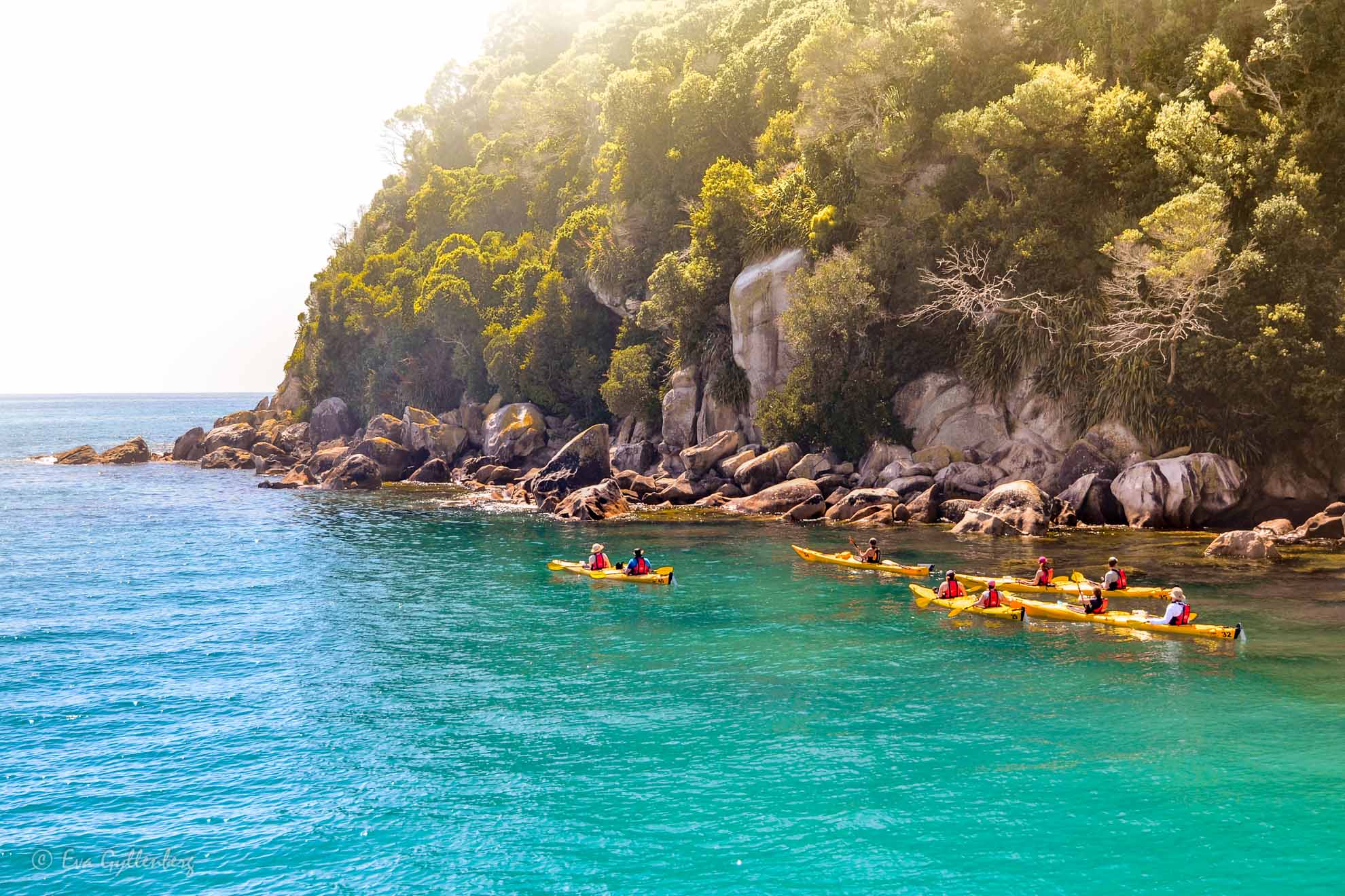 Abel Tasman