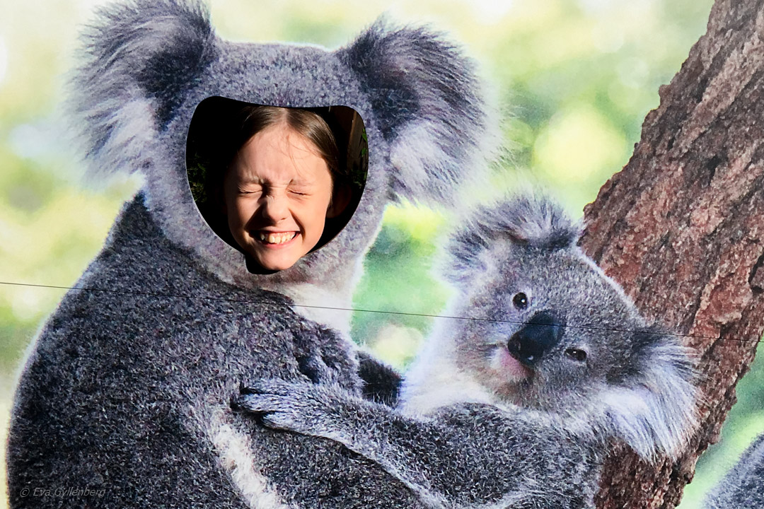 Långflygning med barn till australien