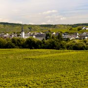 Rhen-Mosel