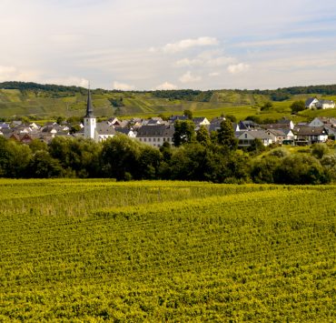 Rhen-Mosel