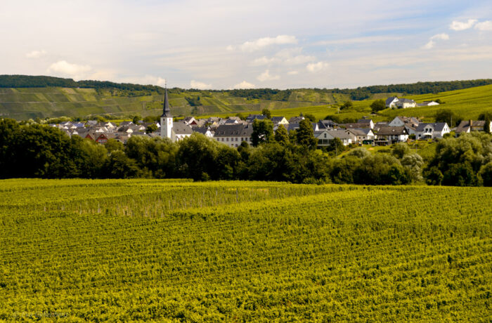 Rhine-Moselle