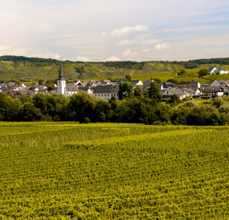 Rhen-Mosel