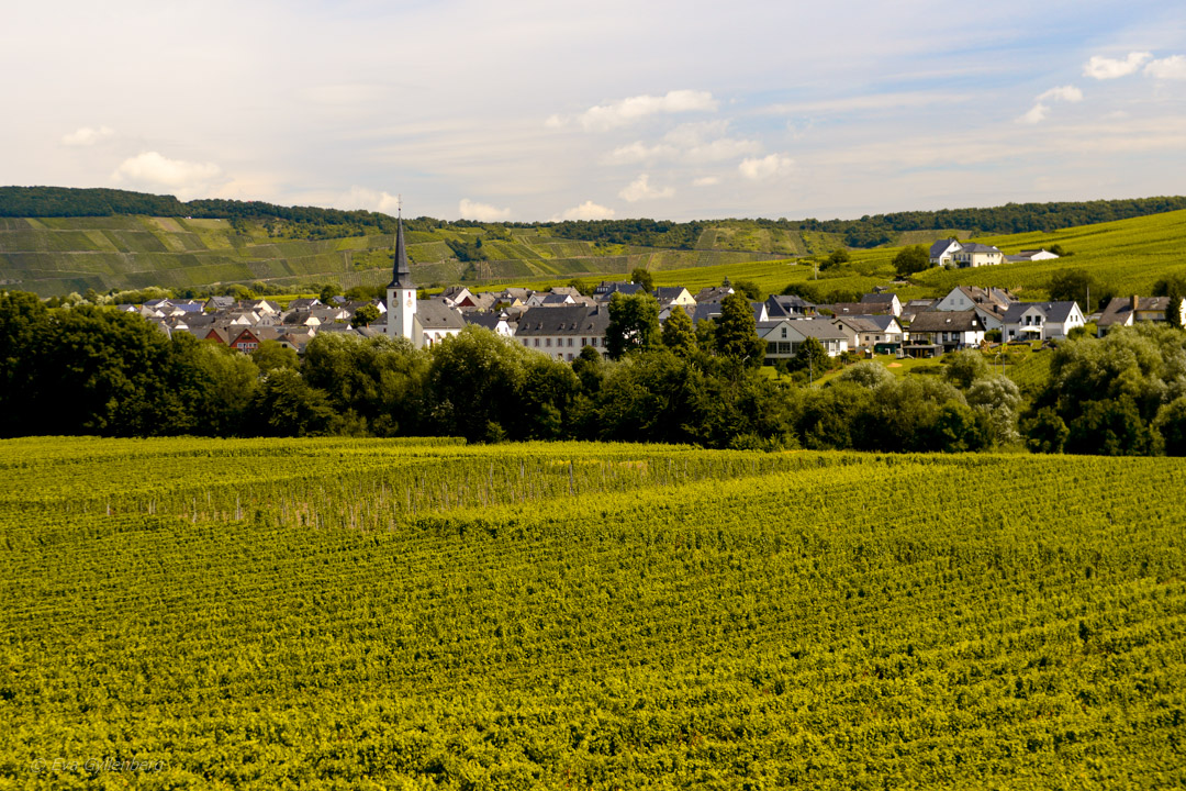 Rhen-Mosel