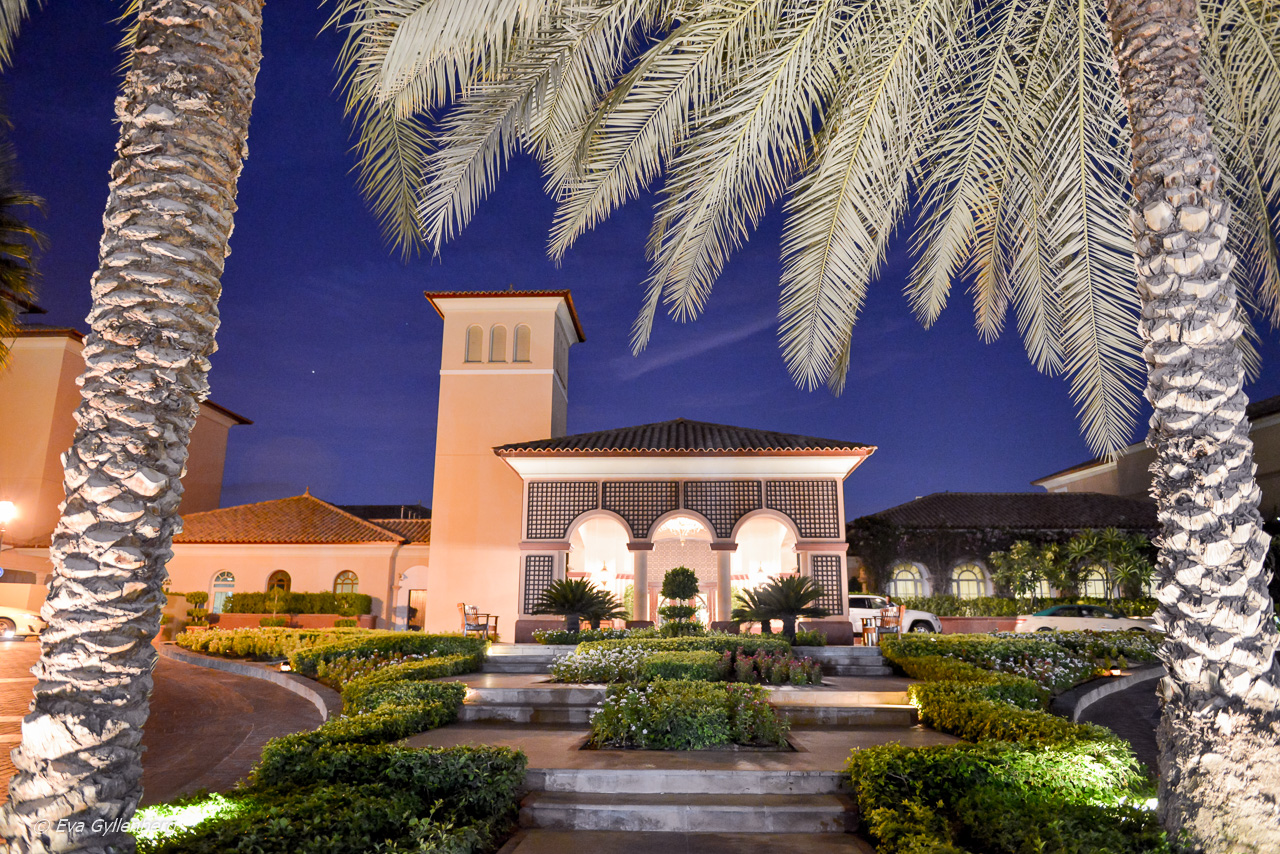 Ritz-Carlton - Dubai - UAE