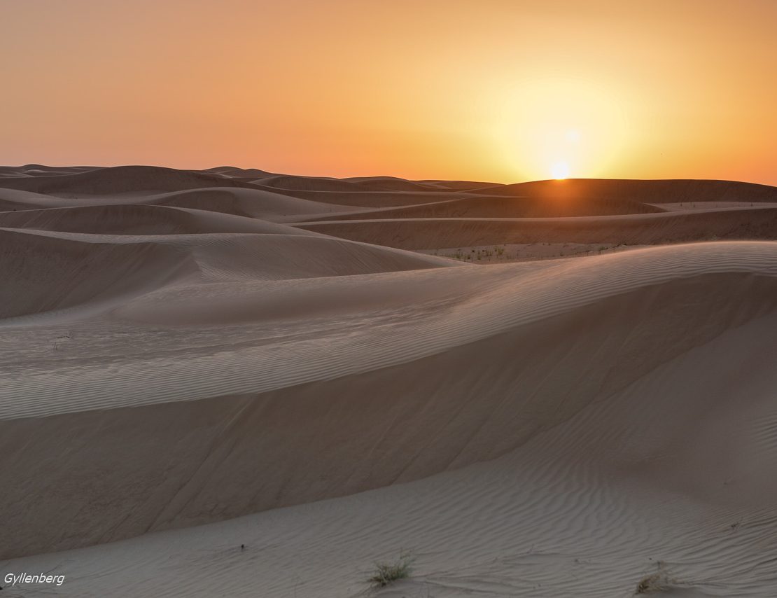 Öknen - Dubai - UAE