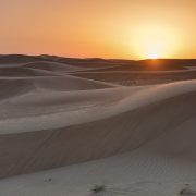Öknen - Dubai - UAE