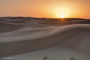 The desert - Dubai - UAE